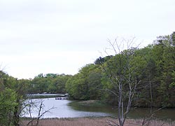 [photo, Weems Creek, Annapolis, Maryland]