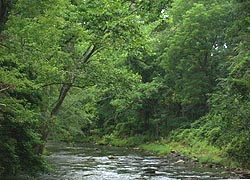 [photo, Gunpowder Falls State Park, Kingsville, Harford and Baltimore Counties, Maryland]