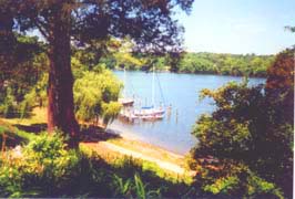 [photo, Sailboats docked on St. Leonard Creek (Calvert County), Maryland]